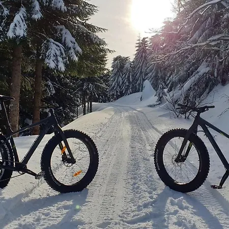 Górski Raj Apartamento *