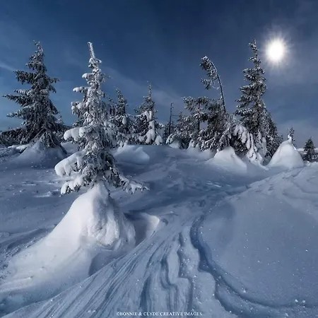 Gorski Raj Apartman *