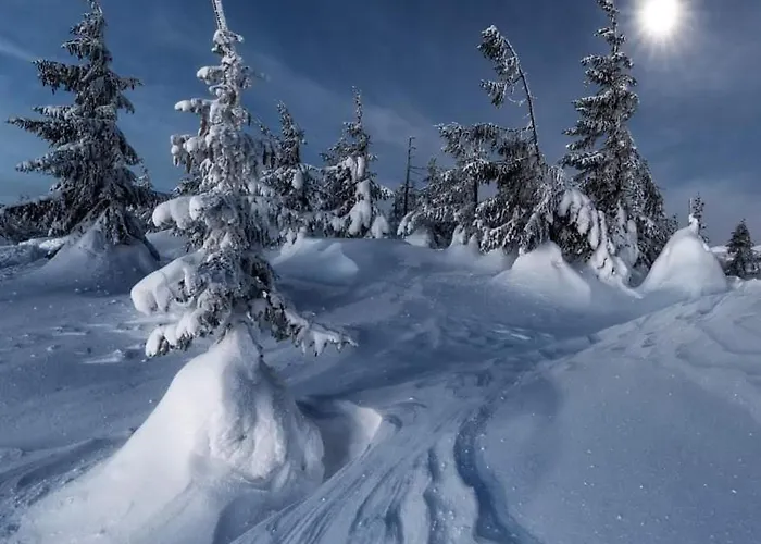 Górski Raj Apartamento *